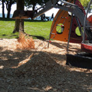 DSCN3120_JPG-1372983067