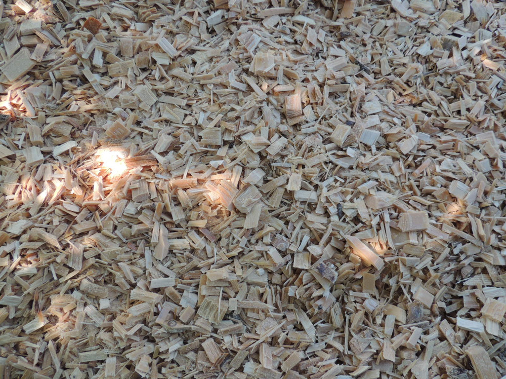 DSCN3101_JPG-1372983043