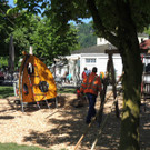 DSCN3087_JPG-1372983016