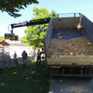 DSCN3103_JPG-1372983047