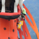   Fertigstellungsarbeiten