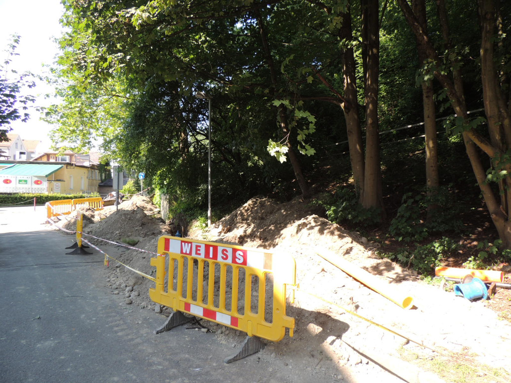 DSCN1551_JPG-1372985384