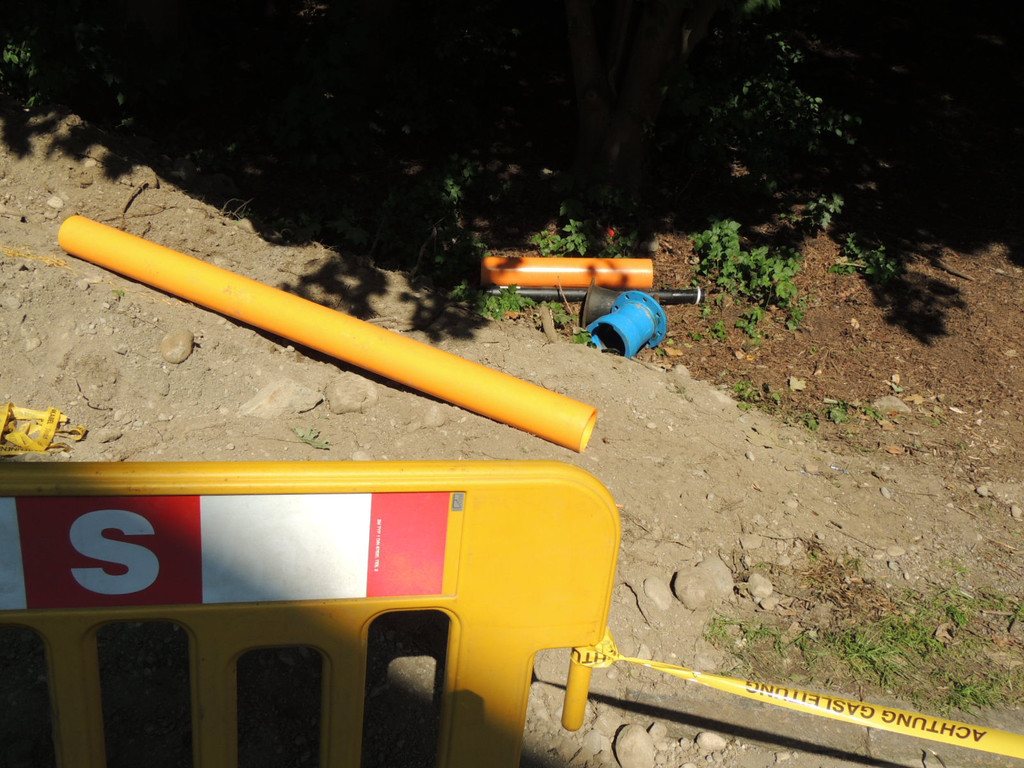 DSCN1555_JPG-1372985398