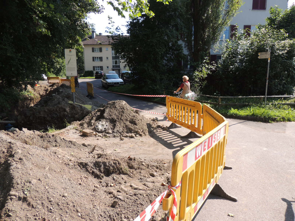 DSCN1560_JPG-1372985416