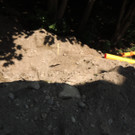 DSCN1556_JPG-1372985403