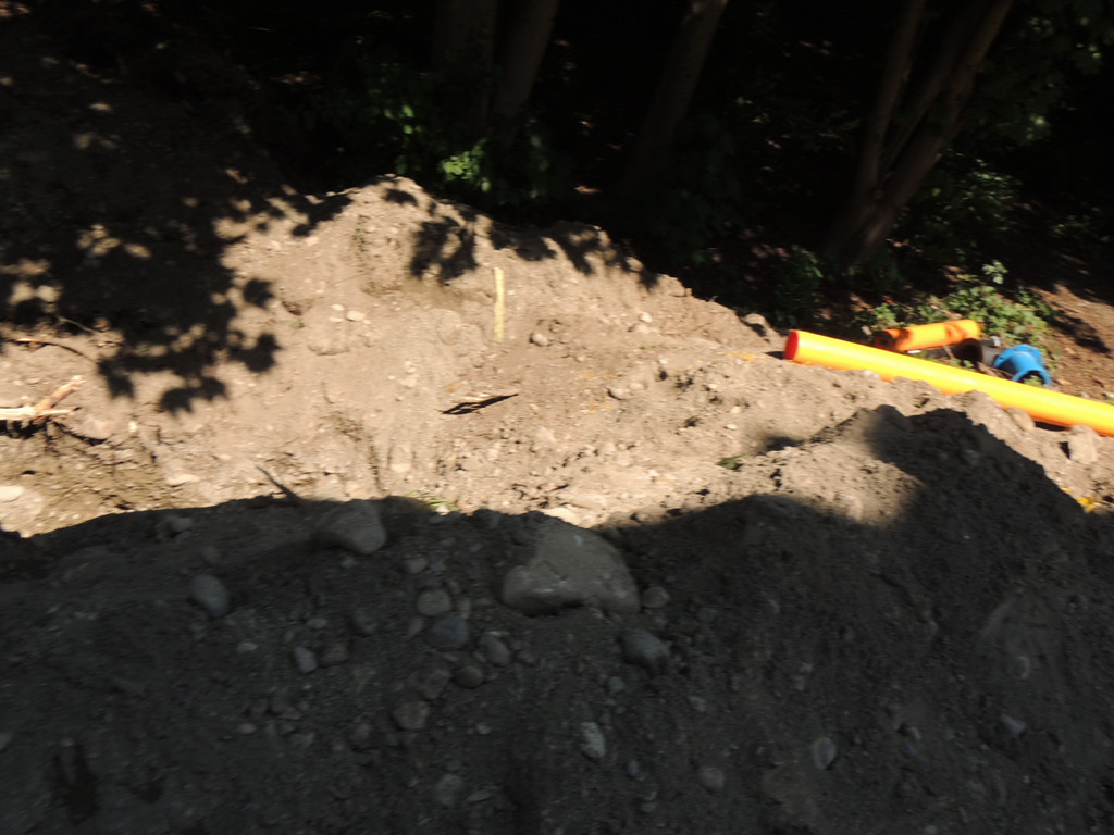 DSCN1556_JPG-1372985403