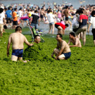 IBD0156-20130705.jpg