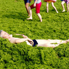 IBD0153-20130705.jpg