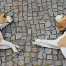 ABD0032-20130703.jpg