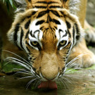 ABD0199-20130702.jpg