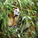 ABD0198-20130702.jpg