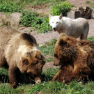 ABD0057-20130702.jpg