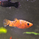 ABD0001-20130702.jpg