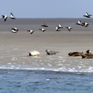 ABD0057-20130630.jpg