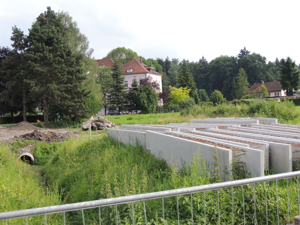 DSCN1808_JPG-1373063144