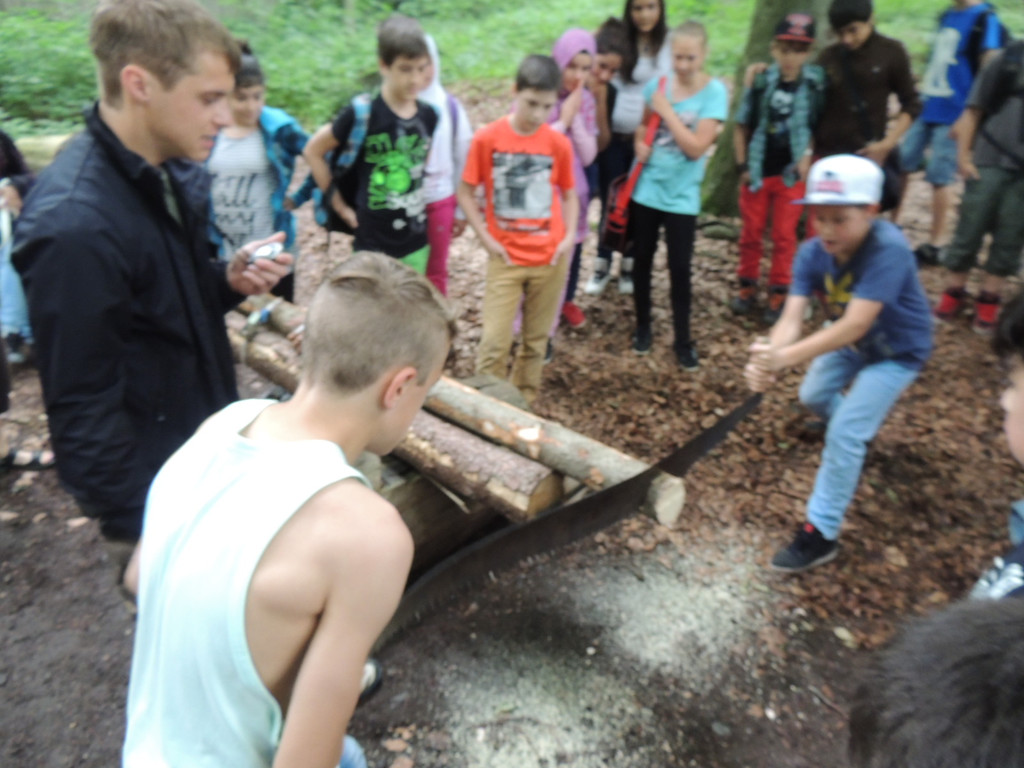 DSCN1472_JPG-1373064123