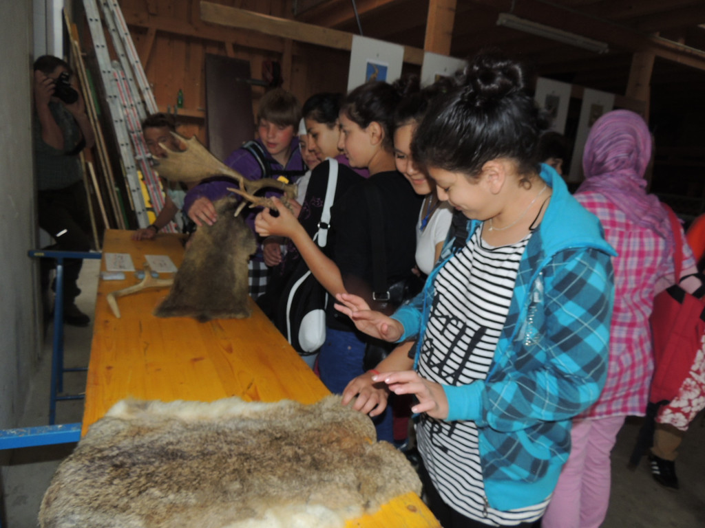 DSCN1479_JPG-1373064133