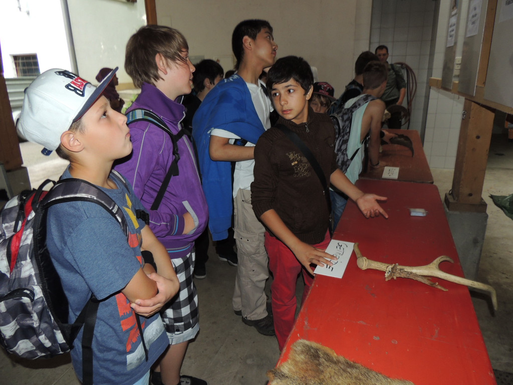 DSCN1483_JPG-1373064137