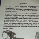 k-BILD9112.JPG