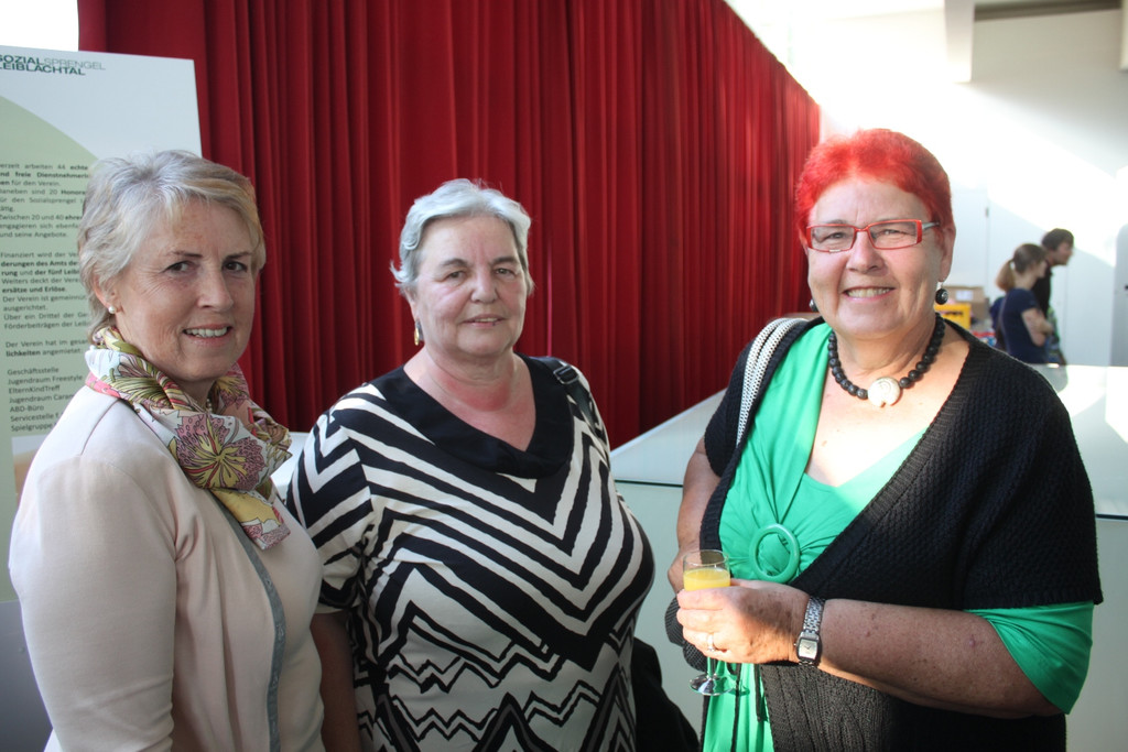 Sozialsprengel 20 Jahre Festakt 2013 _5__jpg-1373096236
