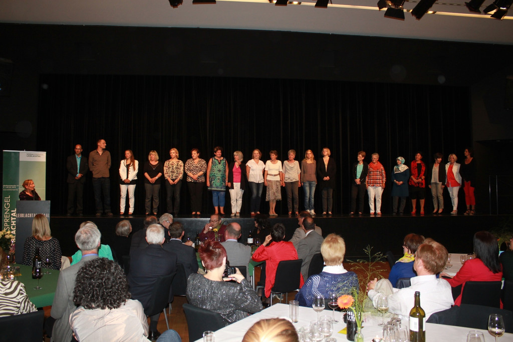 Sozialsprengel 20 Jahre Festakt 2013 _20__jpg-1373096338