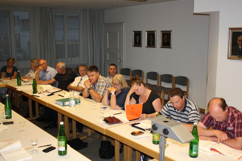 GV Sitzung Rechnungsabschluss 2013 _18__jpg-1373103892