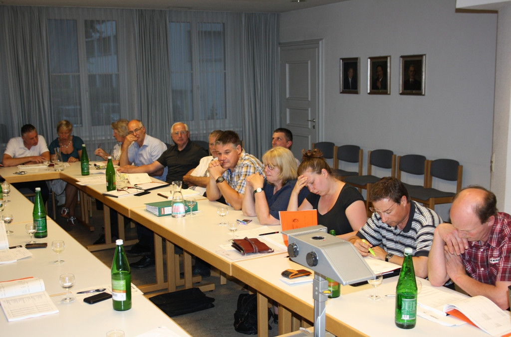 GV Sitzung Rechnungsabschluss 2013 _19__jpg-1373103898