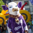 IMG_2605_jpg-1373109283