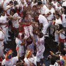 IBD0241-20130706.jpg