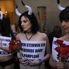 d88869e433984fecbc20e1289fc366c4-d88869e433984fecbc20e1289fc366c4-0.jpg