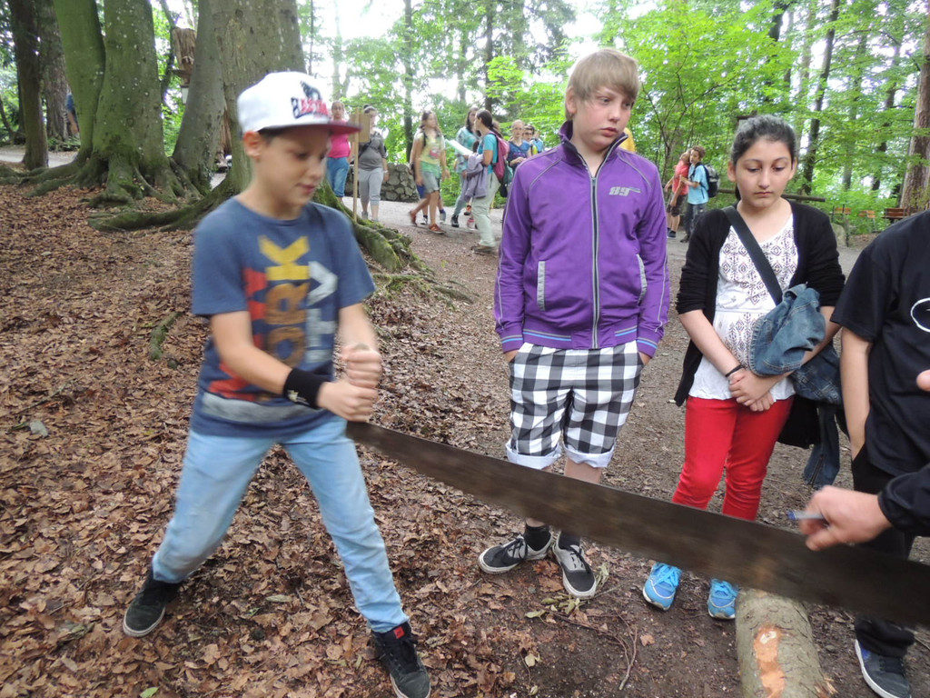 DSCN1471_JPG-1373144942