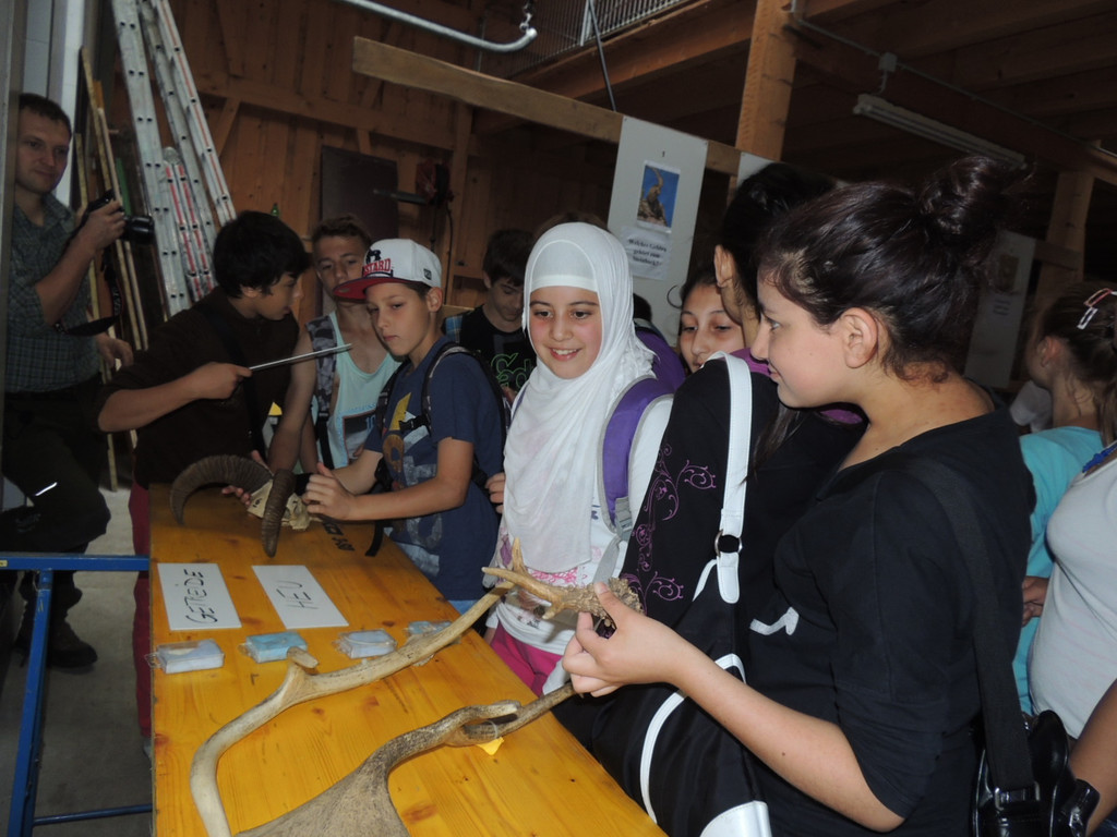 DSCN1478_JPG-1373144950