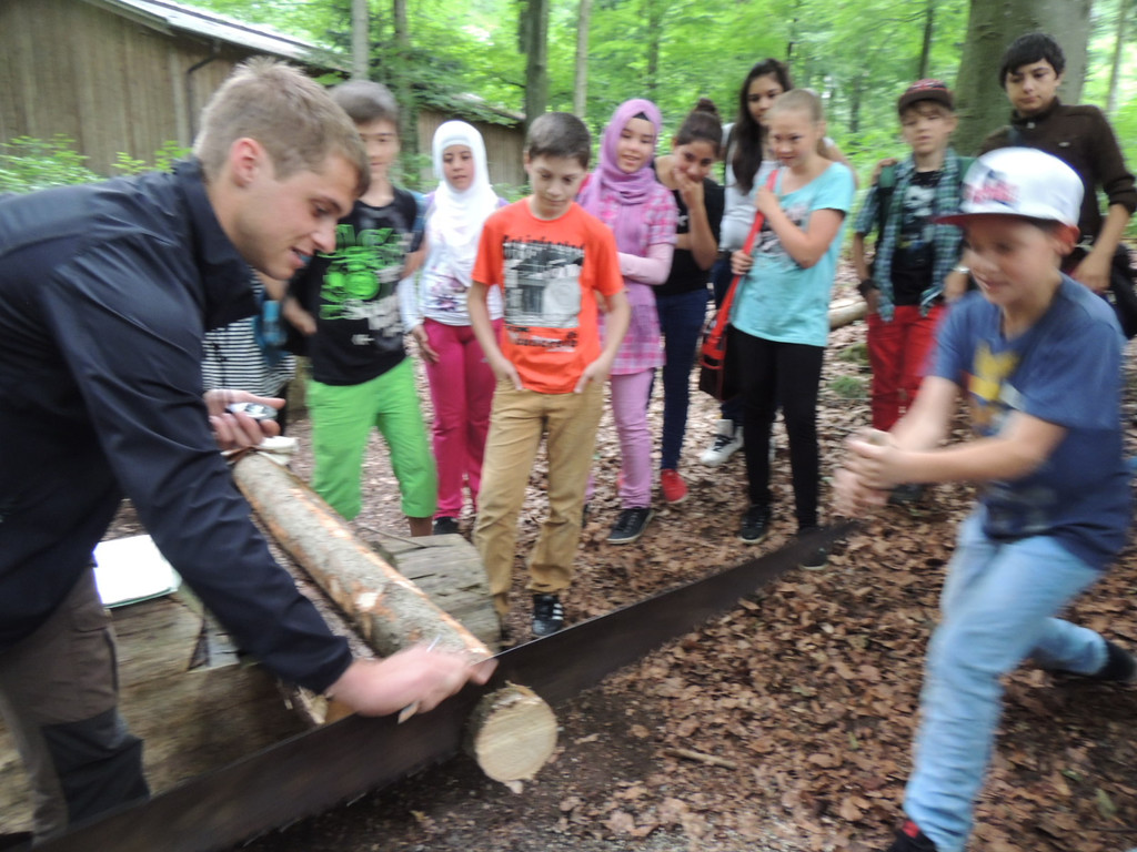 DSCN1473_JPG-1373144946