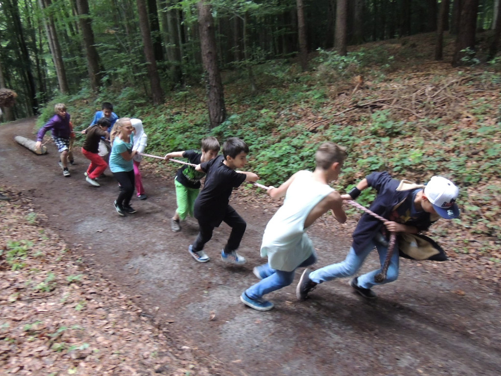 DSCN1495_JPG-1373144974