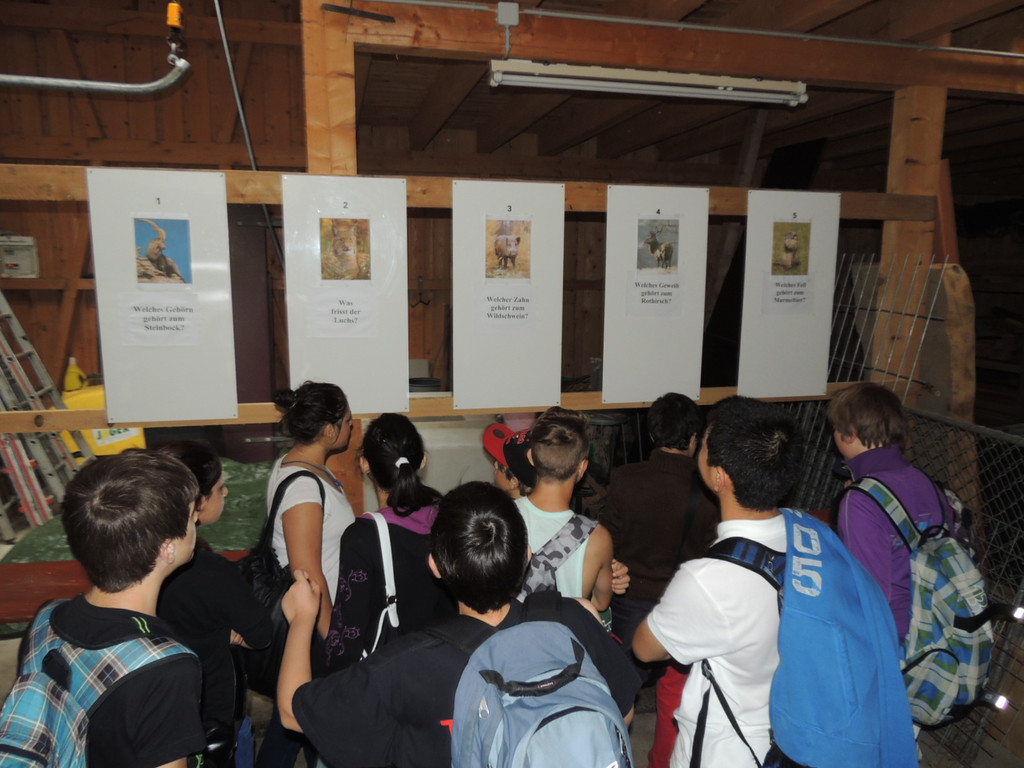 DSCN1484_JPG-1373144958