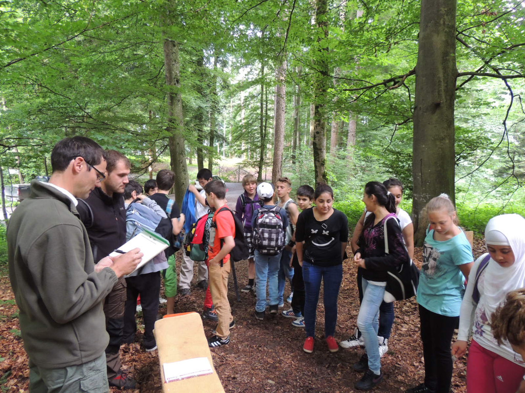 DSCN1485_JPG-1373144962