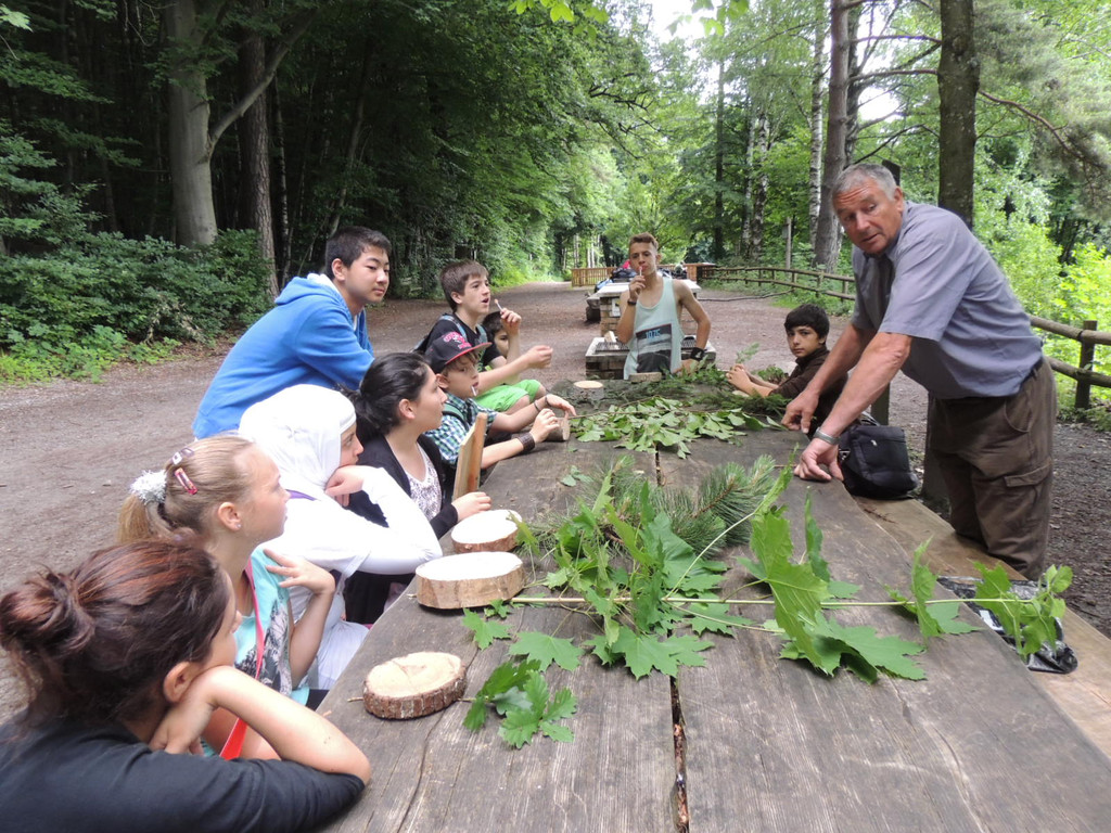 DSCN1517_JPG-1373144985