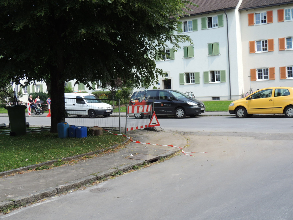 DSCN2083_JPG-1373147193