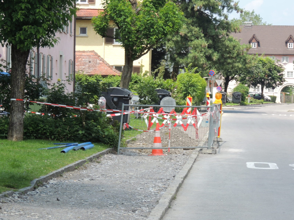 DSCN2088_JPG-1373147214