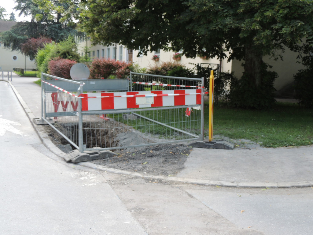 DSCN2085_JPG-1373147202