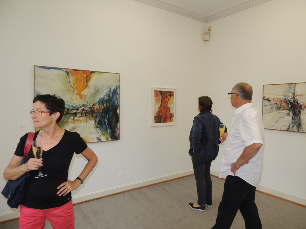 DSCN1645_JPG-1373151940