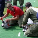 6_7_2013 Landesfeuerwehr Doren 21_jpg-1373188781