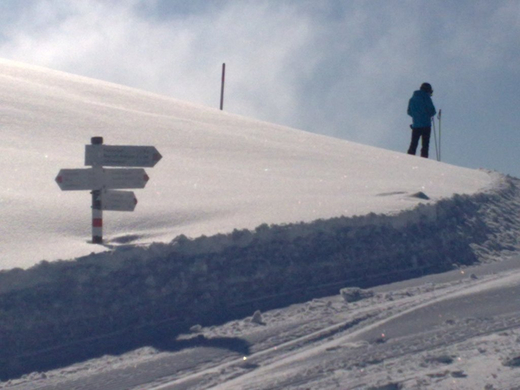 07032010151_jpg-1268066502