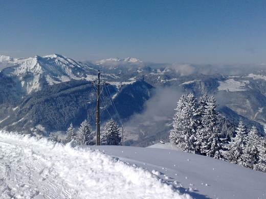 07032010152_jpg-1268066505