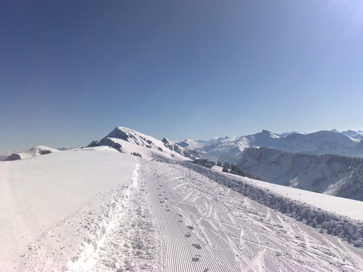 07032010155_jpg-1268066517