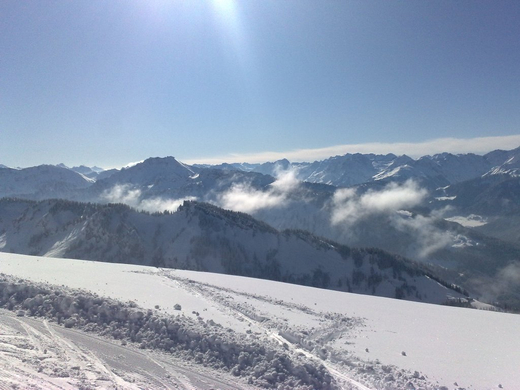 07032010156_jpg-1268066520