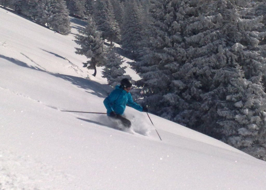 07032010158_jpg-1268066522