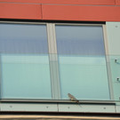 07072013_MA_68_Lichtbildstelle _1_.JPG