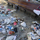 IBD0219-20130707.jpg