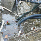 100_5629.jpg